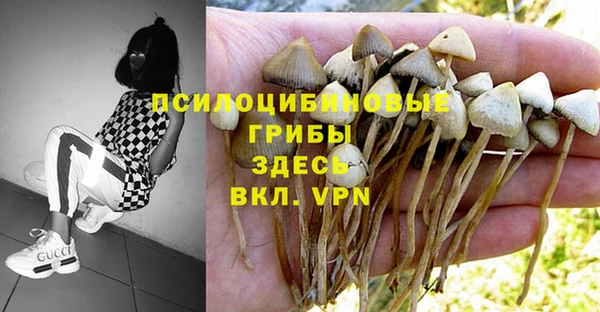 а пвп мука Алексеевка