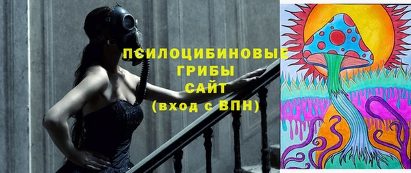 ECSTASY Алзамай