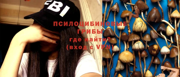 ECSTASY Алзамай