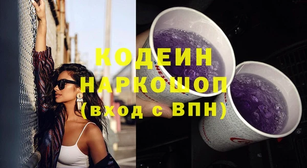 ECSTASY Алзамай